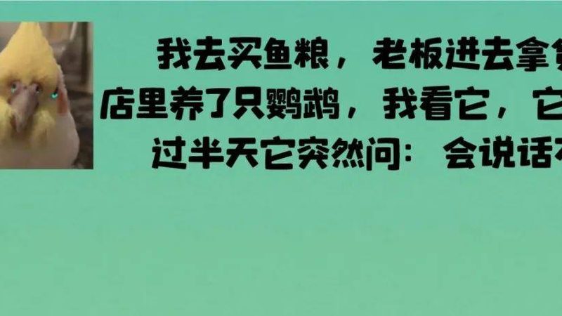 餐饮供应链公司资质要求：合规之路，品质保障**